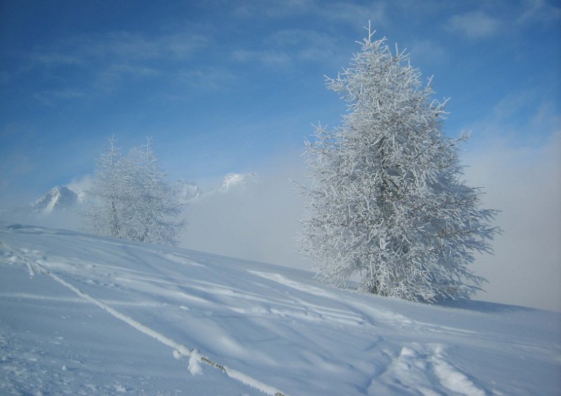 999 - neige - DELHOME sylvie - france.jpg